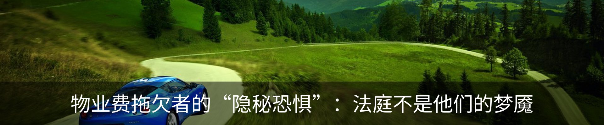 最新动态